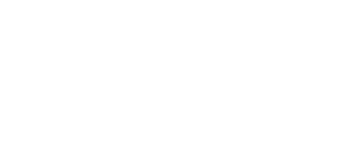 julien-chardon-pingouins